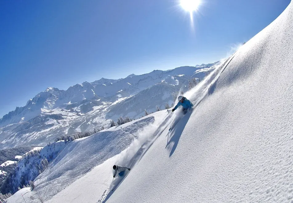 Megève: naturaleza, vistas, montañas, ambiente, detalle